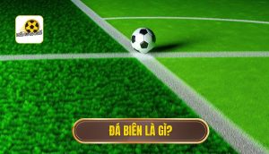 Đá biên là gì