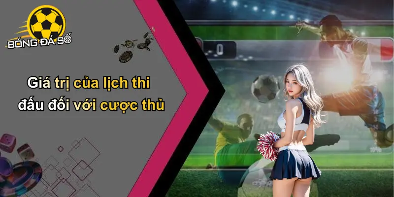 Lịch thi đấu