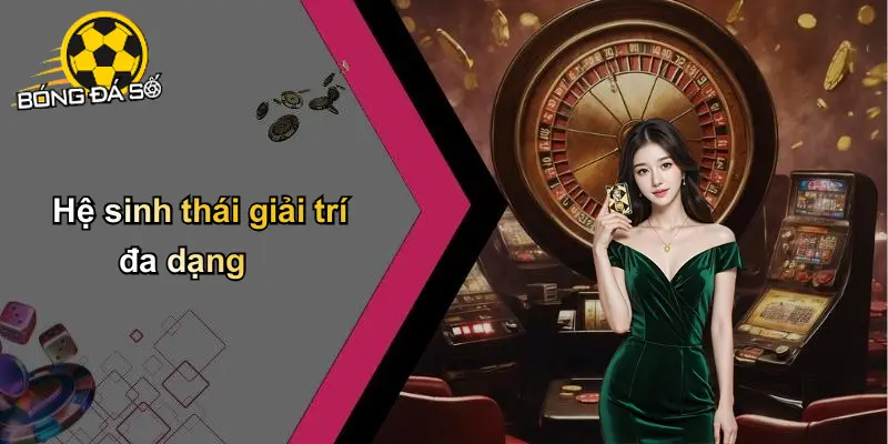 Về Chúng Tôi