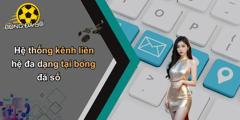 Liên hệ