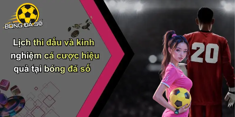 Lịch thi đấu