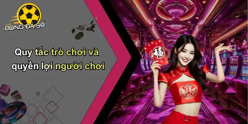 Điều Khoản Điều Kiện