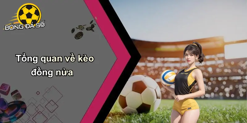 Kèo Đồng Nửa