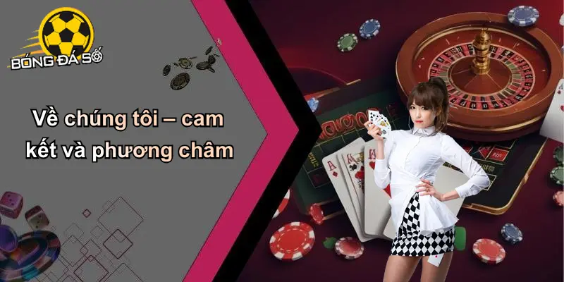 Về Chúng Tôi