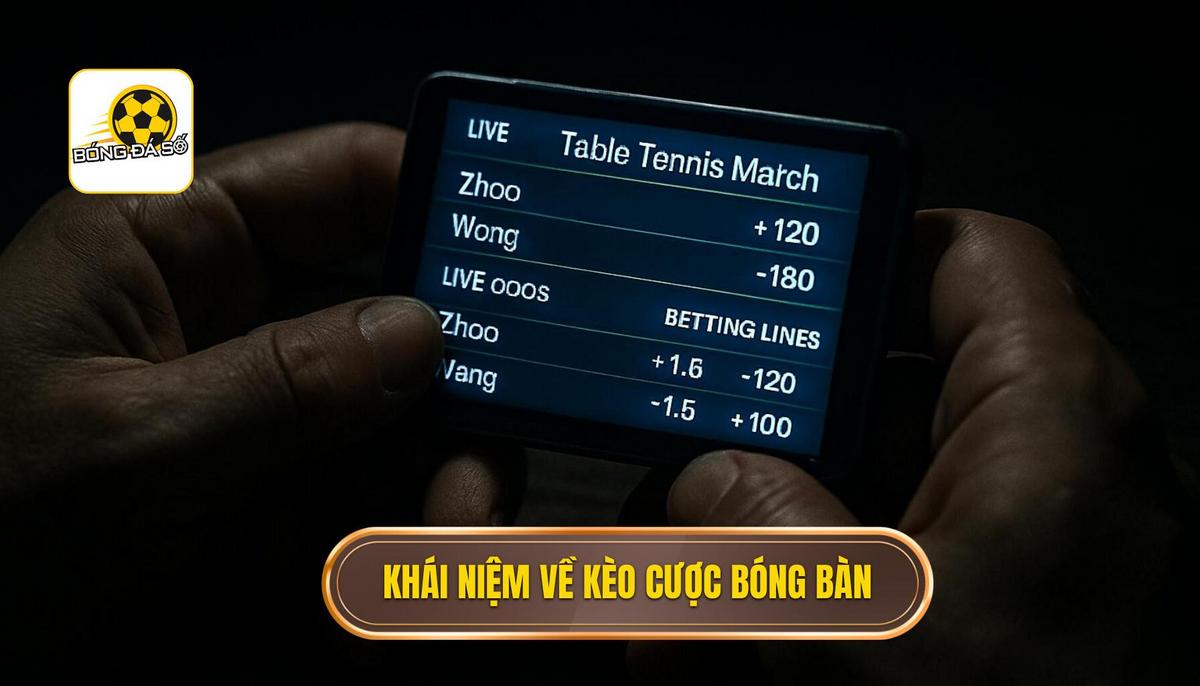 Khái Niệm Về Kèo Cược Tổng Số Lần Sút Bóng Bị Chặn