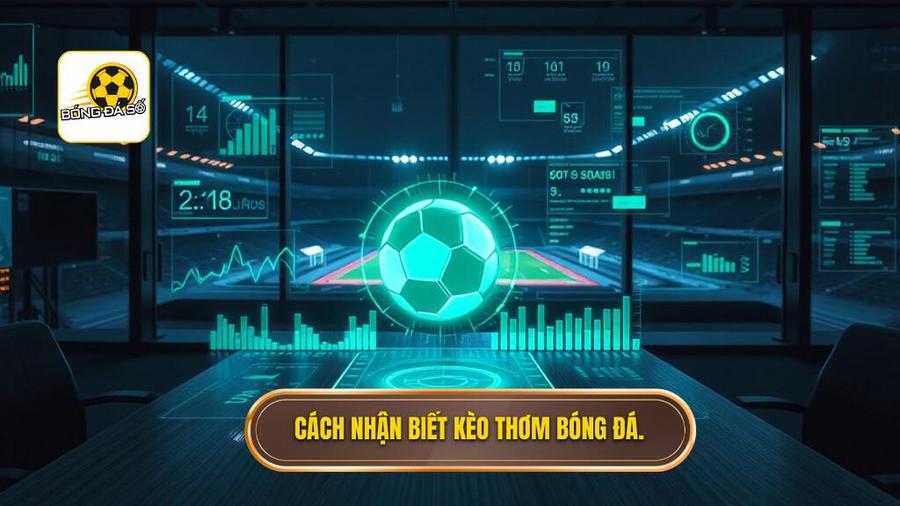 2. Cách nhận biết kèo thơm bóng đá.