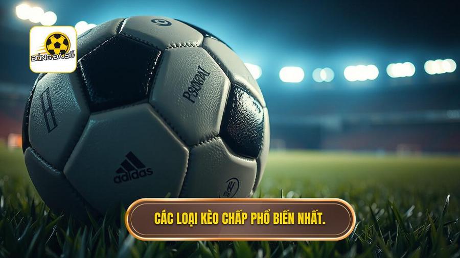 Các loại kèo chấp phổ biến nhất.