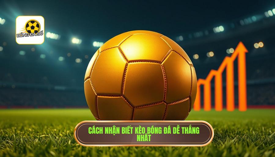 Dấu hiệu nhận biết kèo bóng đá dễ thắng nhất hôm nay